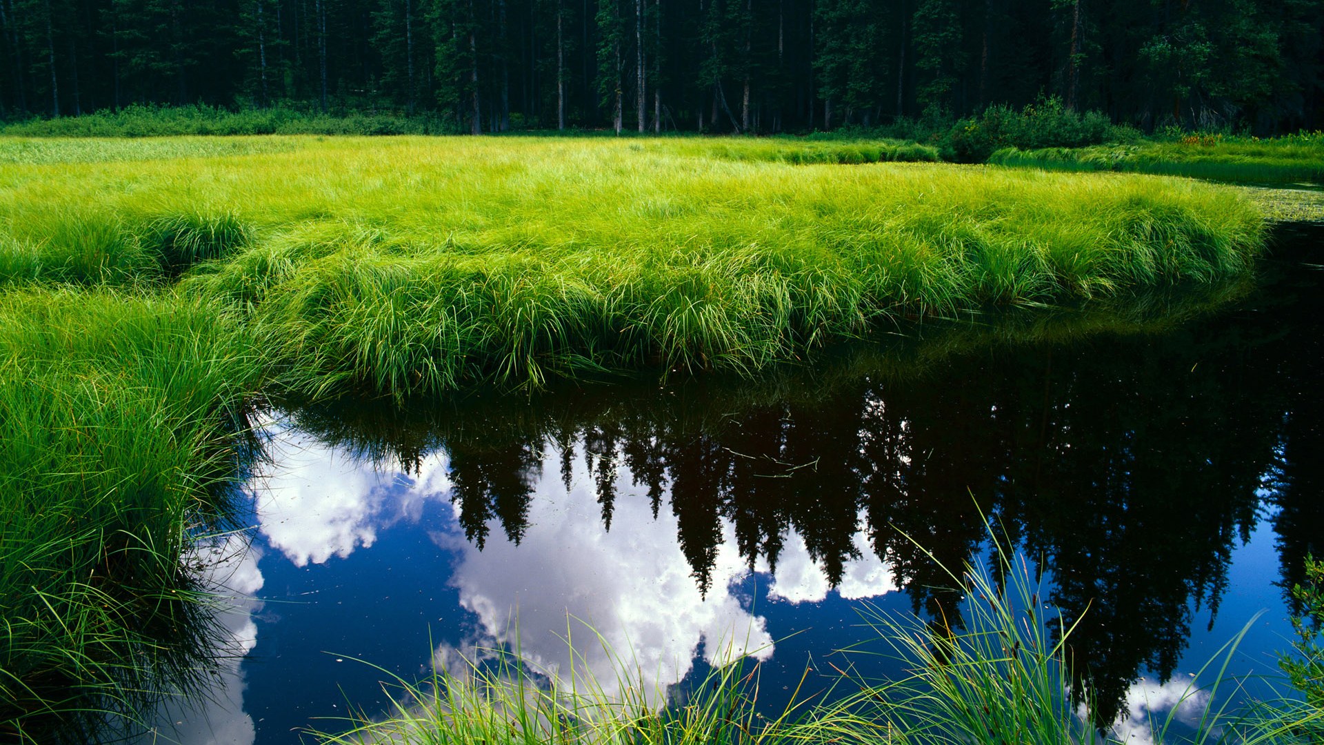 世界田径训练营科研论文国际期刊特刊发表，世界田径挑战赛